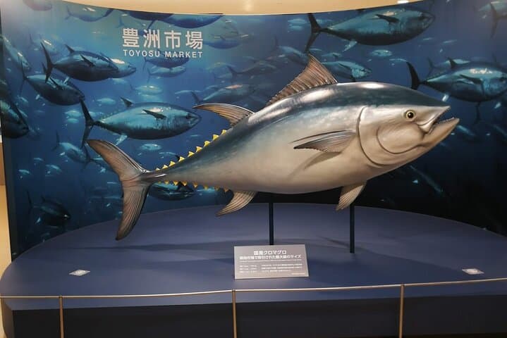 Complete Tuna Auction & Toyosu Market Tour with Fumi — photo 5