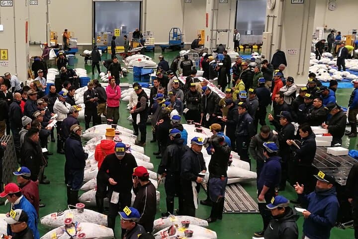 Complete Tuna Auction & Toyosu Market Tour with Fumi — photo 3