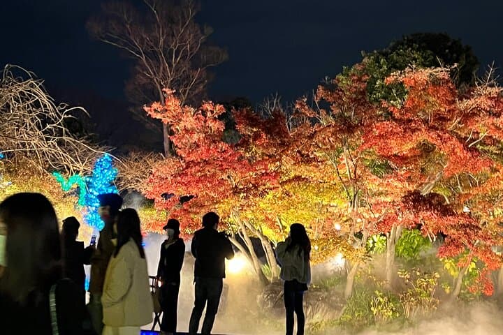 Nagoya : Private Nabana no Sato Tour : Illuminations & Shopping — photo 10