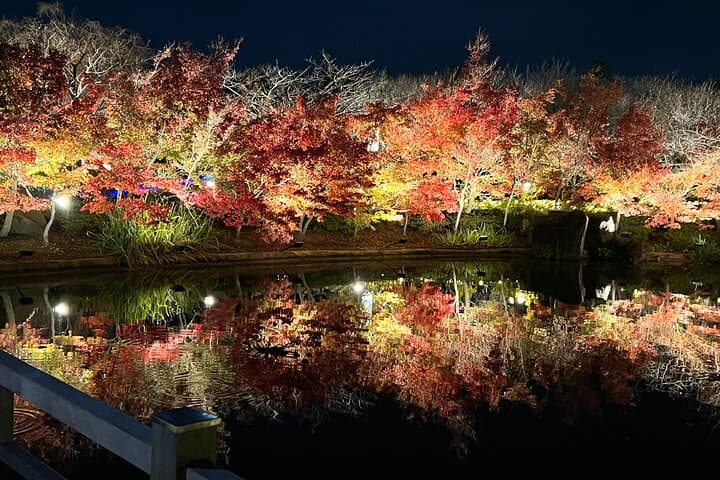 Nagoya : Private Nabana no Sato Tour : Illuminations & Shopping — photo 11