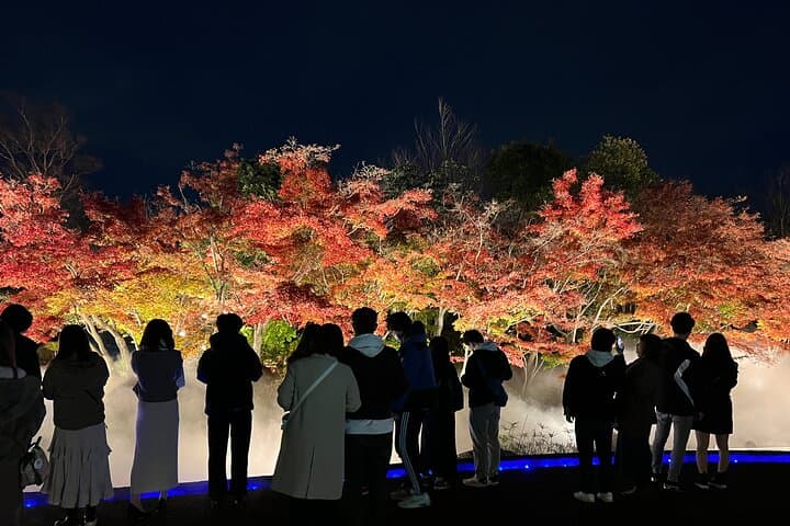 Nagoya : Private Nabana no Sato Tour : Illuminations & Shopping — photo 12