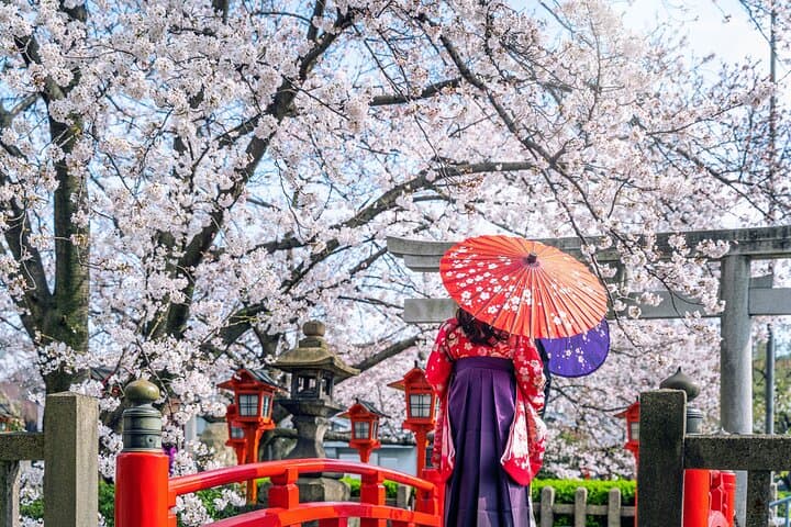 Kyoto Uncovered: One Full-Day Private Experience for First-Timers — photo 6