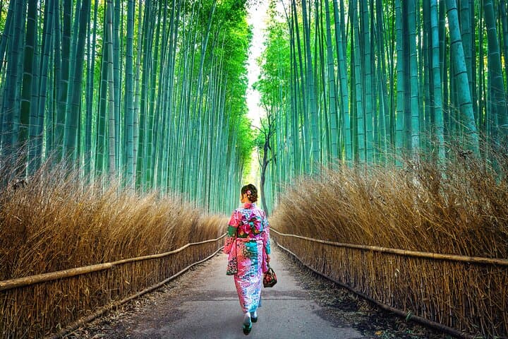 Arashiyama & Nara Highlights: One-Day Private Tour Adventure — photo 16