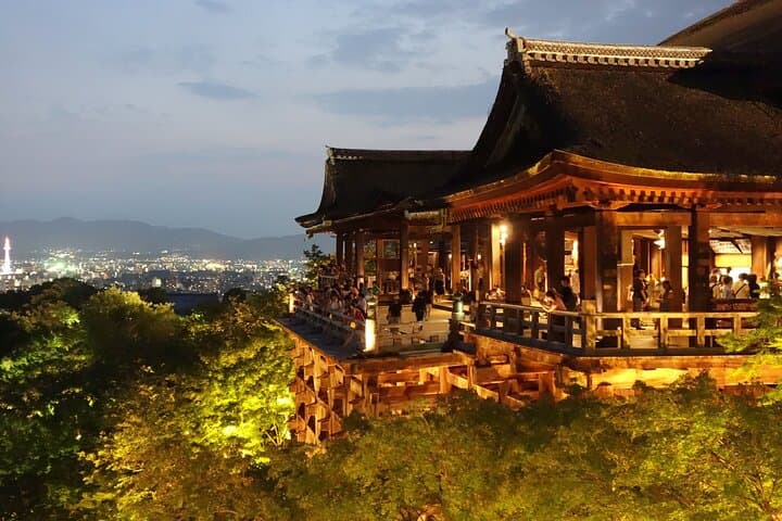 Tokyo to Kyoto 1-Full Day Private Guided Tour — photo 15