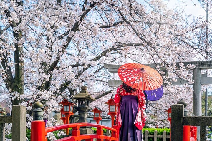 Kyoto Full Day (8 hours) Ultimate Sightseeing Private Tour — photo 1