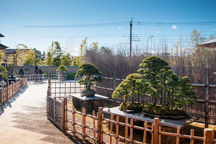 The Best Of Saitama Private Walking Tour — photo 5
