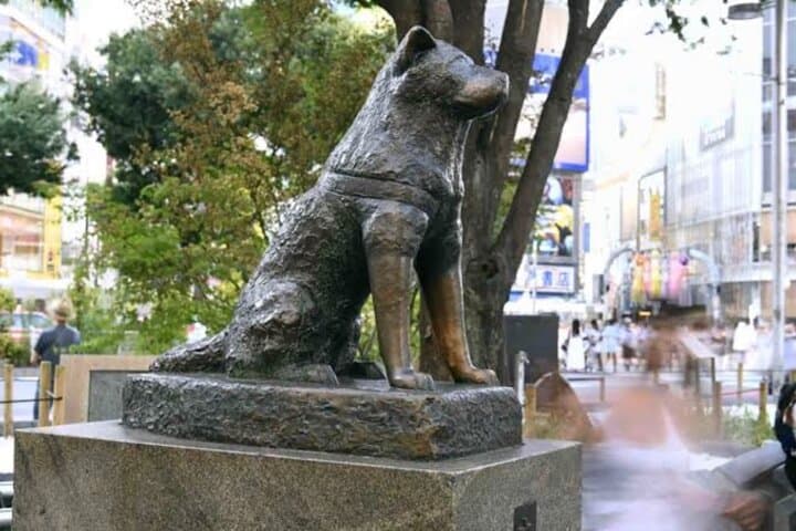 Tokyo Private Day Tour by Car with English speaking Driver Guide — photo 3