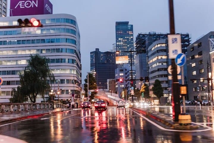 Private Tour Guide Nagoya with a Local: Kickstart your Trip, Personalized — photo 14