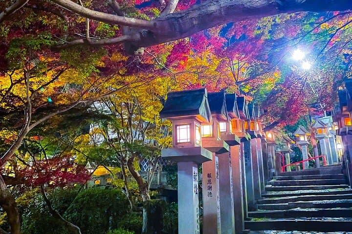 Hidden Gems of Osaka Kyoto Nara - Private Car Tour by Local Guide — photo 4