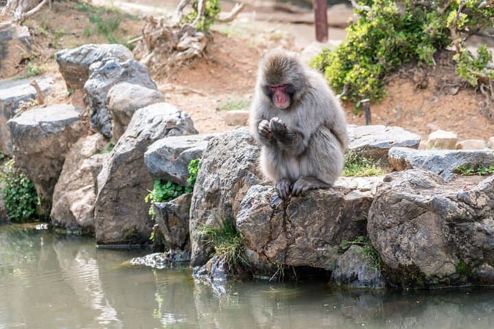 Private Customized 3 Full Days Tour Package: Discover Kyoto, Arashiyama and Nara — photo 18