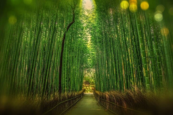 Private Customized 3 Full Days Tour Package: Discover Kyoto, Arashiyama and Nara — photo 19