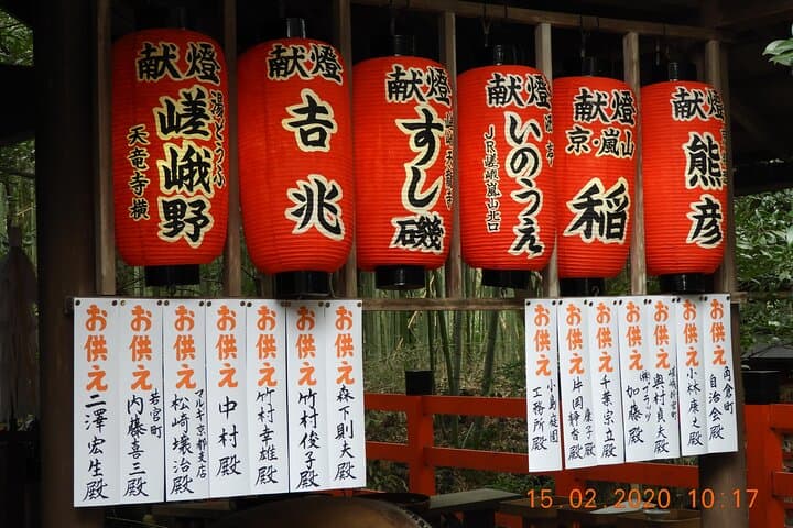 Arashiyama & Nara Highlights: One-Day Private Tour Adventure — photo 18