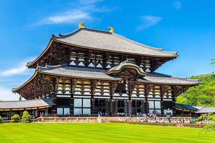 Arashiyama & Nara Highlights: One-Day Private Tour Adventure — photo 7