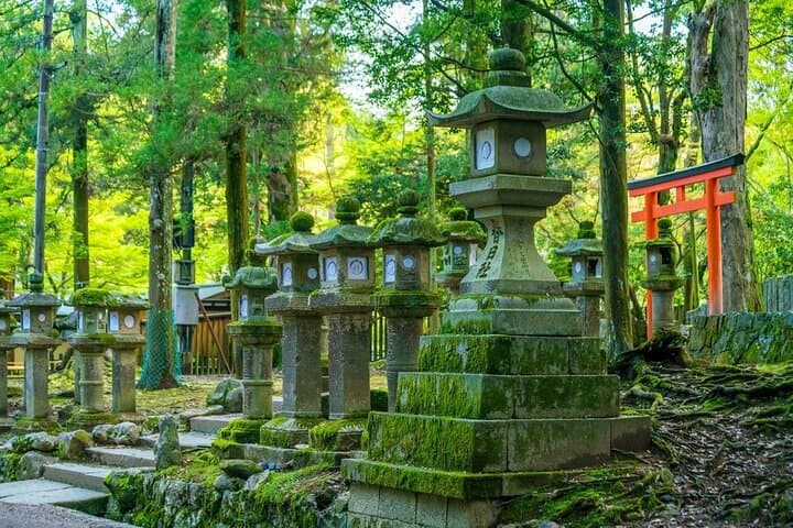 Arashiyama & Nara Highlights: One-Day Private Tour Adventure — photo 8