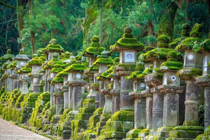 Arashiyama & Nara Highlights: One-Day Private Tour Adventure — photo 1