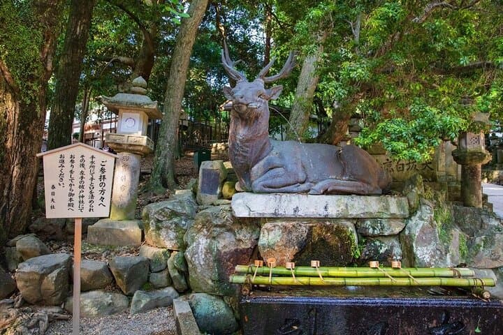Arashiyama & Nara Highlights: One-Day Private Tour Adventure — photo 9