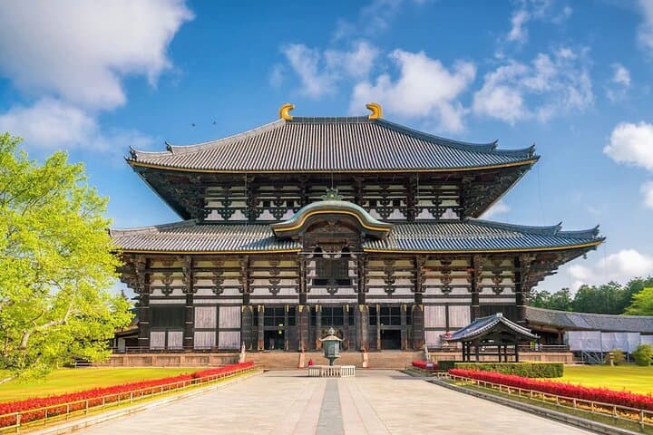 Arashiyama & Nara Highlights: One-Day Private Tour Adventure — photo 10