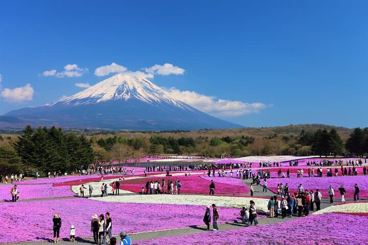 Mt. Fuji, Hakone Full-Day Private Tour with English Driver Guide — photo 2