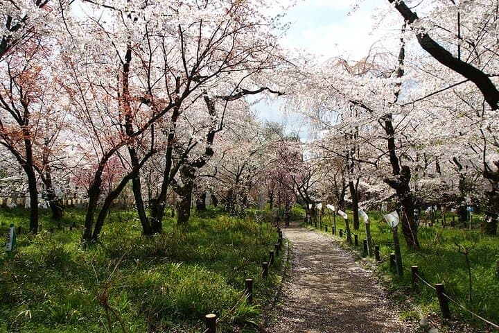 Kyoto's World Heritage Walking Tour from Kyoto st. — photo 2