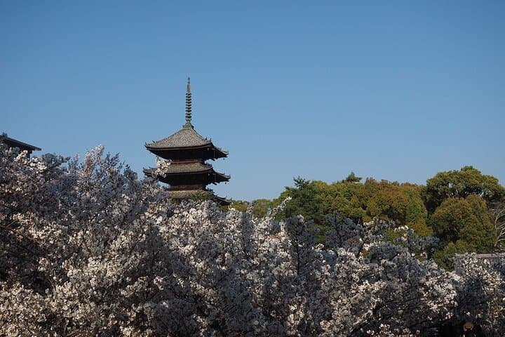 Kyoto's World Heritage Walking Tour from Kyoto st. — photo 1