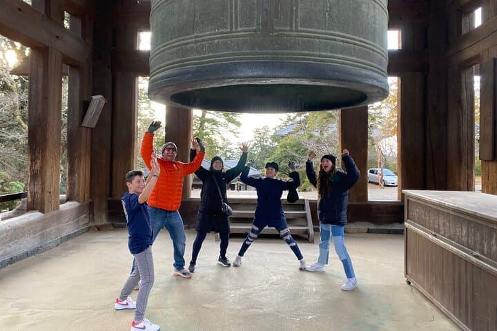 Nara Car Tour from Kyoto: English speaking Driver Only, No Guide — photo 2