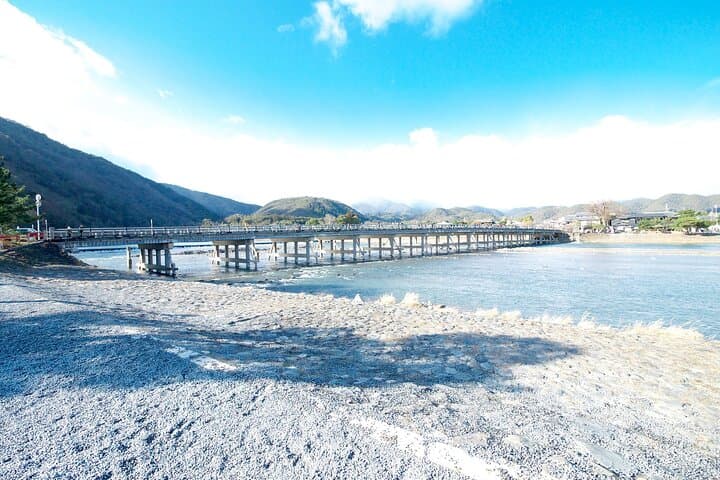 Kyoto Arashiyama Bamboo, Temple, Monkey or Local Mountain Brewery — photo 11