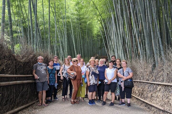 Kyoto Arashiyama Bamboo, Temple, Monkey or Local Mountain Brewery — photo 10