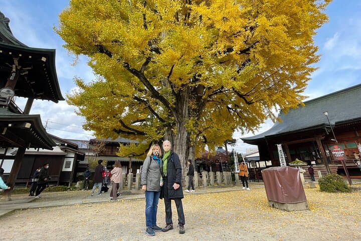 Shirakawago and Takayama Licensed Guide and Vehicle from Kanazawa — photo 16