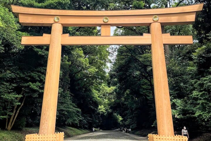 Half Day Sightseeing Tour in Tokyo — photo 12
