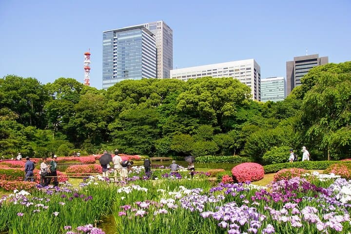 Half Day Sightseeing Tour in Tokyo — photo 19