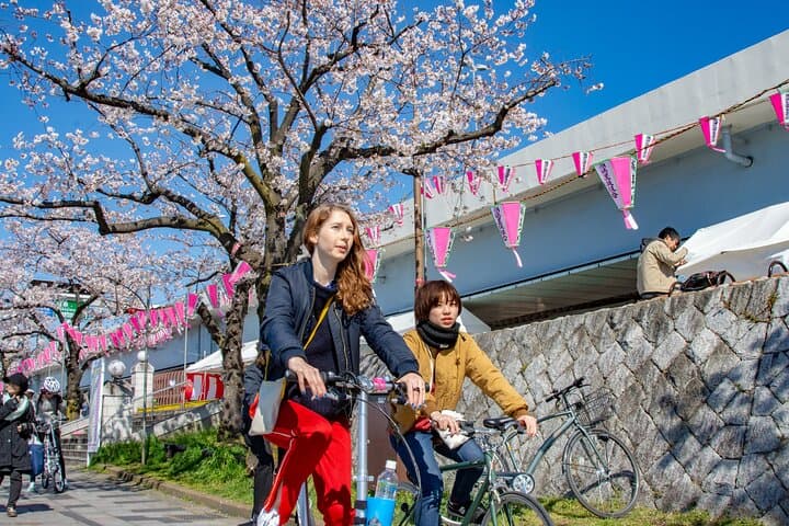 Tokyo downtown bicycle tour Tokyo Backstreets Bike Tour — photo 18