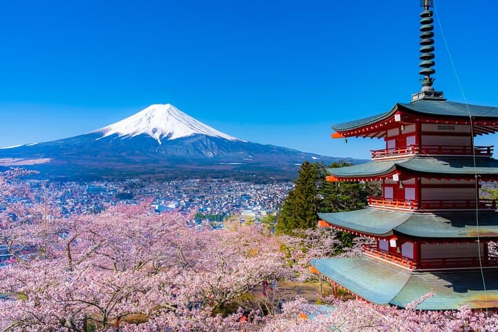 Mt. Fuji Cherry Blossom One Day Tour From Tokyo by Private Car — photo 2