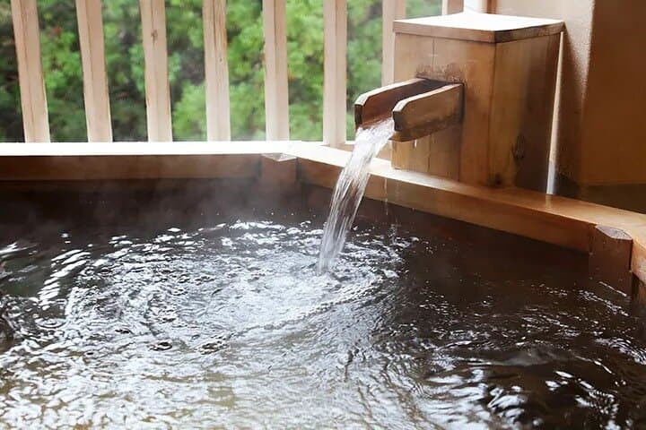 Full-Day Enoura Observatory and Hakone Hot Spring Private Tour — photo 3