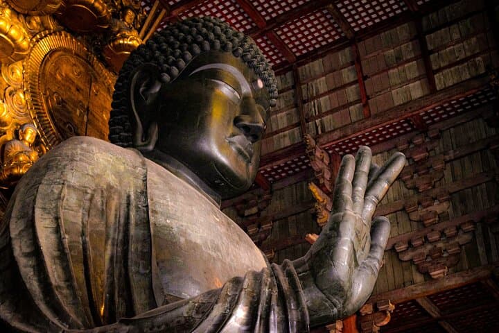 Osaka & Nara in 1-Day by Private Van with Local Expert Guide — photo 7