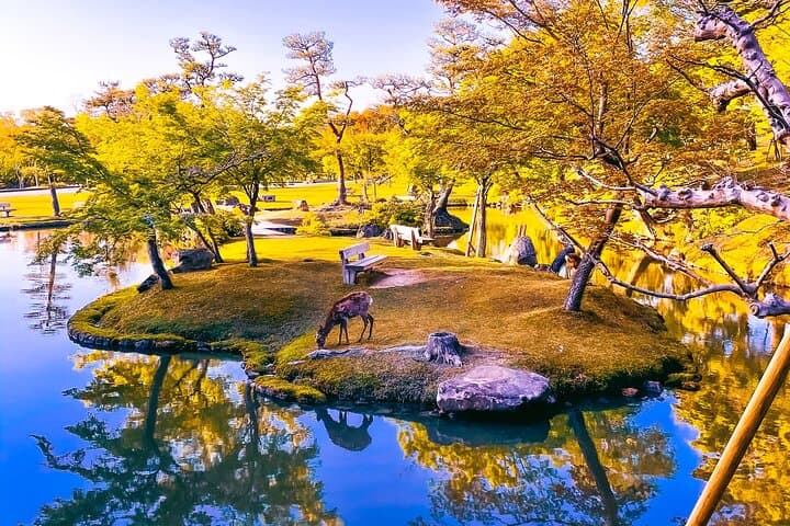 Osaka & Nara in 1-Day by Private Van with Local Expert Guide — photo 18