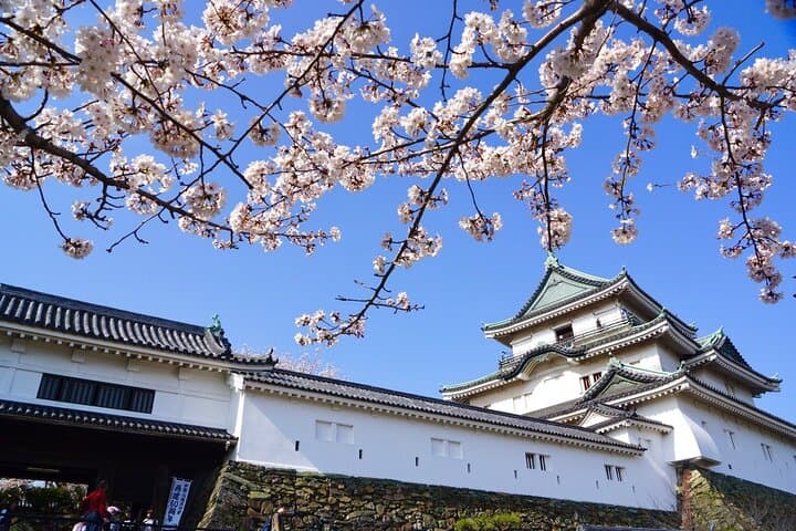 The Best of Wakayama City Private Tour — photo 3