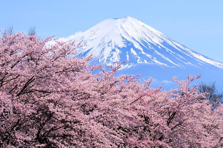 Mt Fuji and Hakone 1-Day Bus Tour Return by Bus