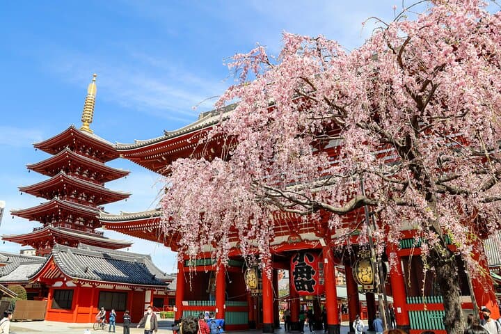 1-Day Tokyo Bus Tour — photo 1