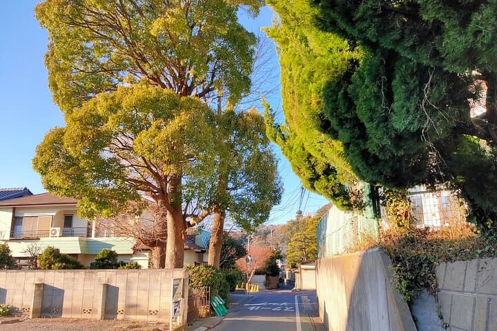 Private Old Temples Guided Tour in Kamakura — photo 10