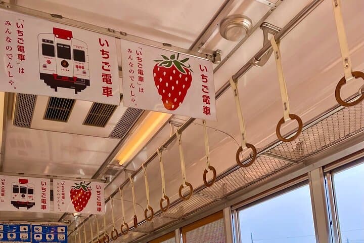 The Best of Wakayama City Private Tour — photo 17