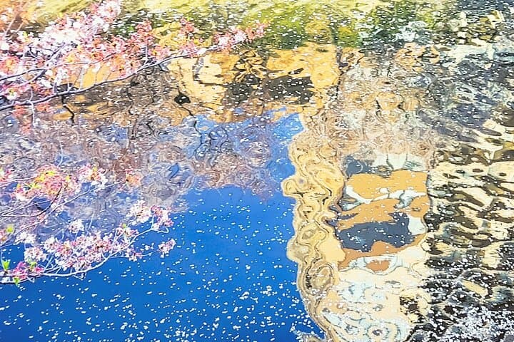 Licensed Guide Tokyo Meguro Cherry Blossom Walking Tour — photo 5