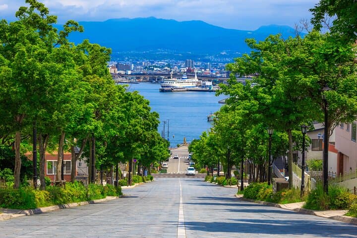 Port Pick-Up: Hakodate Tour with Licensed Guide and Vehicle — photo 9