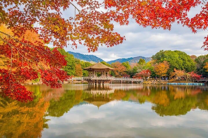Nara - Highlights Bike Tour — photo 10