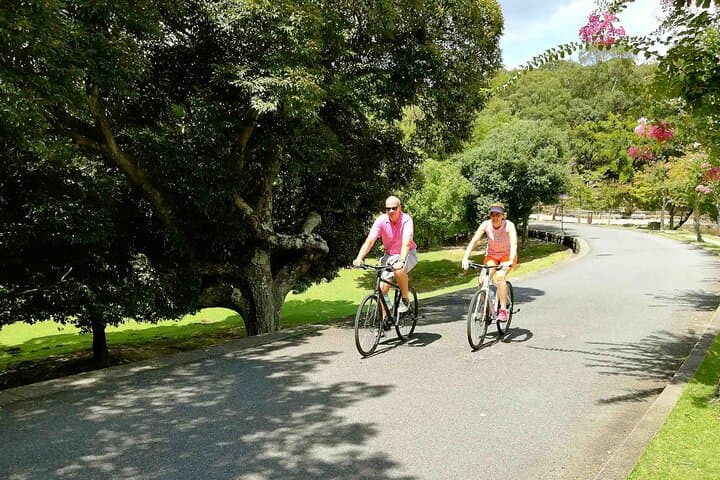 Nara - Highlights Bike Tour — photo 14