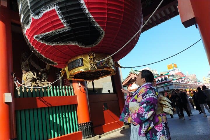 Enjoy plus size Kimono — photo 11