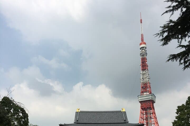 6-Hour-Tour Tokyo Highlights — photo 7