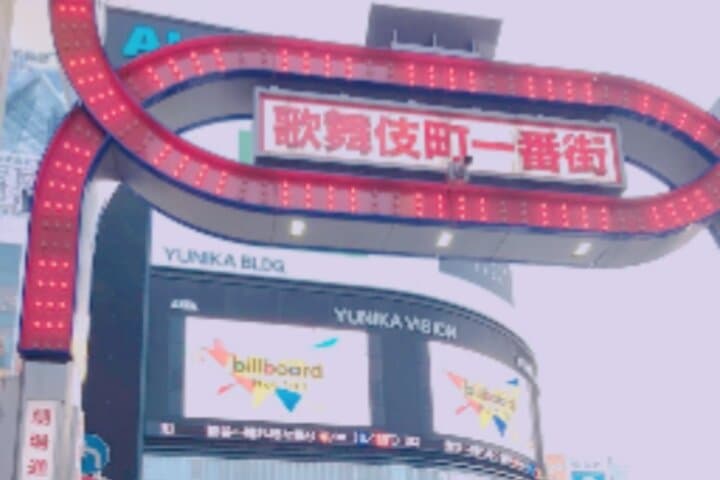 Licensed Guide Shinjuku Dramatic Tour Day Time (Tokyo) — photo 9