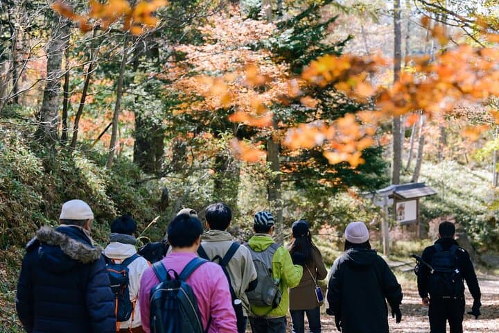 Tateshina highland Trekking and Ride — photo 3