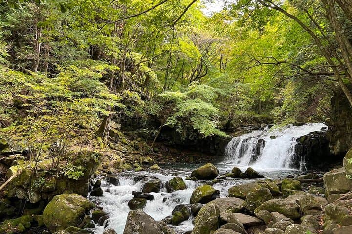 Ebike Tour in Lake Shirakaba and Tateshina Highland Japan — photo 4
