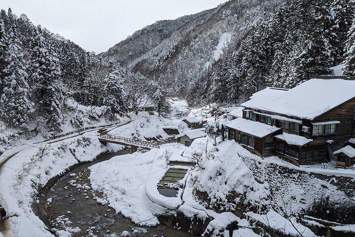 Nagano Snow Monkey 1 Day Tour with Beef Sukiyaki Lunch from Tokyo — photo 6